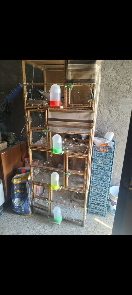 ثنين خانات سعر الوحده 35 مستعملات بس نضيفات وياهن 6 مشربيات و 4 معالف خشب بغداد بل حبيبيه *********** رقمي
