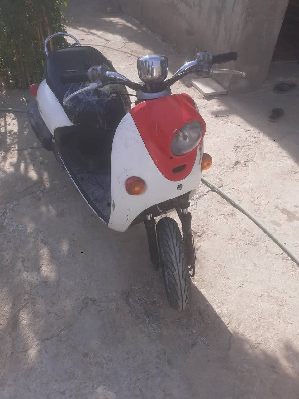 متاح دراجة اللبيع *********** الدفاس السعر ١٥٠
