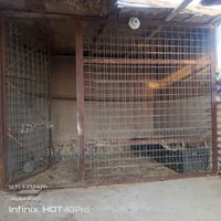 واجهة • مساحة • فلوجه الجولان