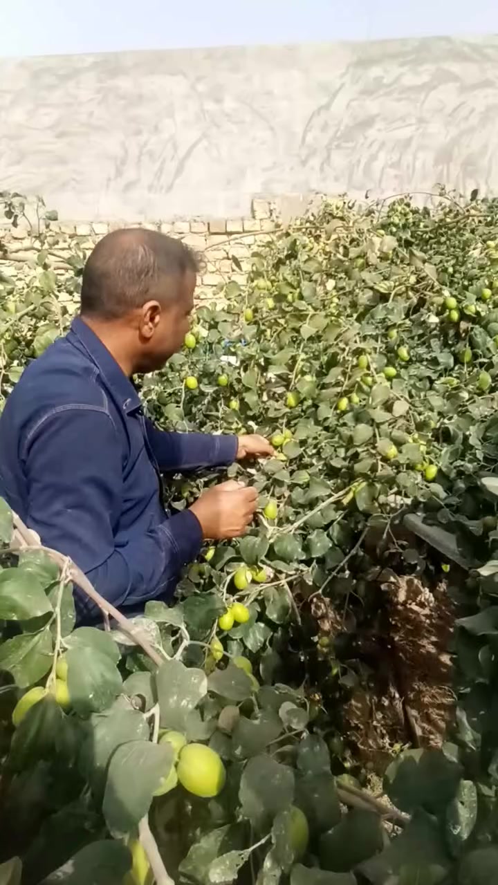 أبو محمد إشراف ومتابعه وتطعيم العنوان بابل الحله ***********
