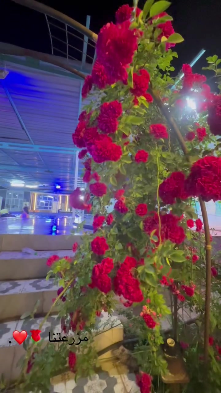 مزرعة الباشا 🏖🌹
عيش أجواء الصيف ويانا 🌹🏖

يستقبل العوائل والشباب صباحاً ومسائاً

ومهيئاً لكل المناسبات والحفلات 🔥

المواصفات:

مساحه 2500 متر

مسبح كبير و نضيف ومفلتر يومياً ومسبح للاطفال

حدائق مرتبة ومكان مثالي للمة 

العاب اطفال 

وبليارد

وكرة طائرة 

وفيشة 

وساحة لكرة القدم

وموقف واسع للسيارات

وجلسات خارجية وشواية

إضاءة ليلية مع ديجي 

واستقبال مع غرفتين نوم ومطبخ وحمام

مناسبة ل :

للمناسبات والاعراس  والحفلات وأعياد الميلاد وللمات العائلية

ايام راحة وتغيير جو 🌹🏖

موقع مميز -هدوء وخصوصية كاملة 🌹الباشا الترفيهي مكان صلاح الدين قضاء الدجيل الاستفسار ***********/***********
