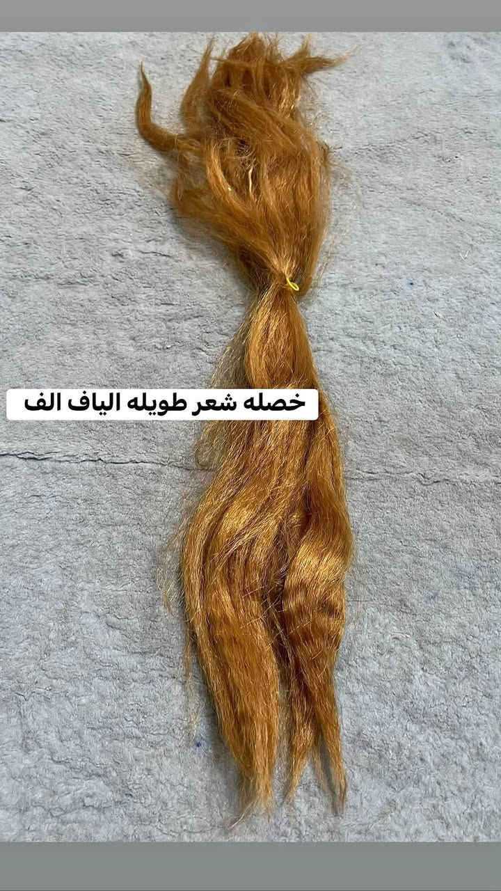 شعر طبيعي والياف متوفر


**إذا كنت صاحب هذا الإعلان وتريد حذفه لأي سبب، رجاءا أرسل رسالة إلى الدعم الفني**