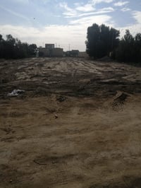 طابو زراعي • ١٢٥٠م • ديوانيه دغاره
