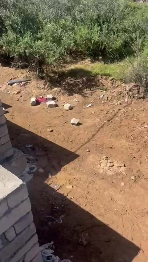 السلام عليكم 
أني بنا حجر ولباخ  وعندي خبرة ببناء الطابوك والبلوك والحدادة.  
شغلي نظيف وسريع والحمد لله، ومستعد أشتغل بأي مكان بدهوك أو ضواحيها.  
اللي يحتاج بنا أو عمال خبرة يراسلني خاص أو على هذا الرقم: [***********]

*کوردی:*
سڵاو هاوڕێیان  
من بەنای بەرد  و کاشیکارم، ئەزموونم هەیە لە بنیاتنانی  و بلۆک و ئاسنگەری.  
کارەکەم پاک و خێرایە، ئامادەم لە دهۆک و دەوروبەری کار بکەم.  
ئەو کەسەی پێویستی بەنای شارەزا هەیە نامەم بۆ بنێرێت لە تایبەت یان پەیوەندی بکات: [***********]
