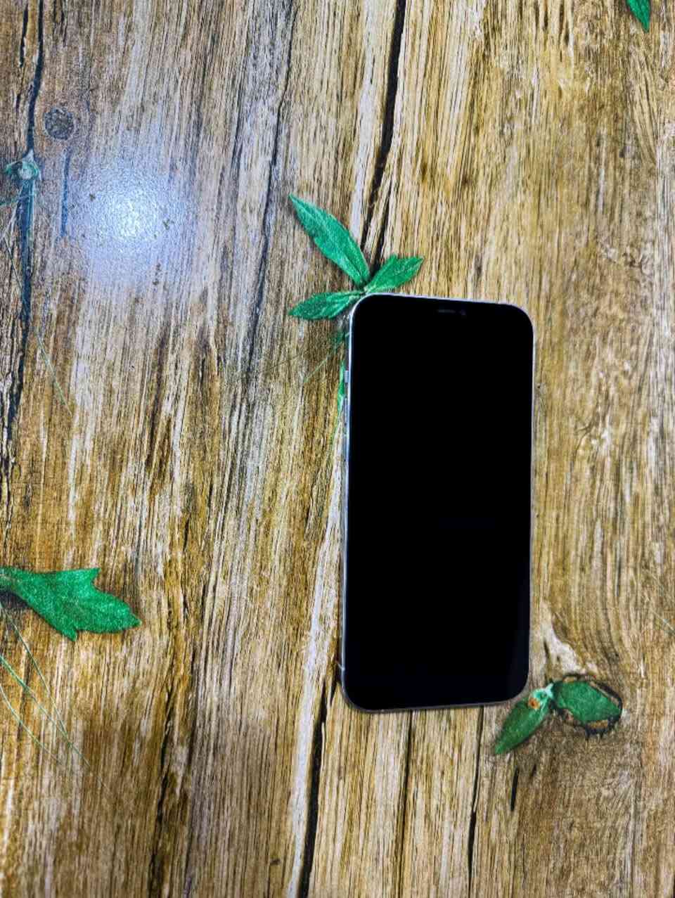 يفون 12 برو ماكس – نظافة 100%
📱 الجهاز: iPhone 12 Pro Max
💾 الذاكرة: 256GB
✨ الحالة: نظافة 100%
📦: جهاز كامل مكمل
🛡️ الضمان: يوم كامل
🔧 ملاحظة: تم تبديل الشاشة بشاشة أصلية فقط
💰 السعر: 390 ألف دينار

📍 العنوان: بغداد – البياع
📞 الهاتف: ***********
