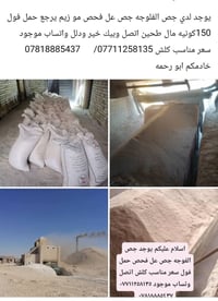 جص الفلوجه • حمل فول • واتساب