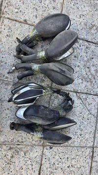 للبيع مال حاويه زوج يمنه يسره ب٥ وهاذه رقمي ٠٧٧٧٢٢٠٤٩٥٤