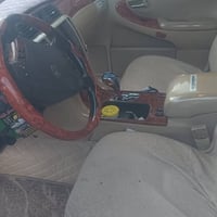 شاهينة • ٢٠٠٥ • بصرة