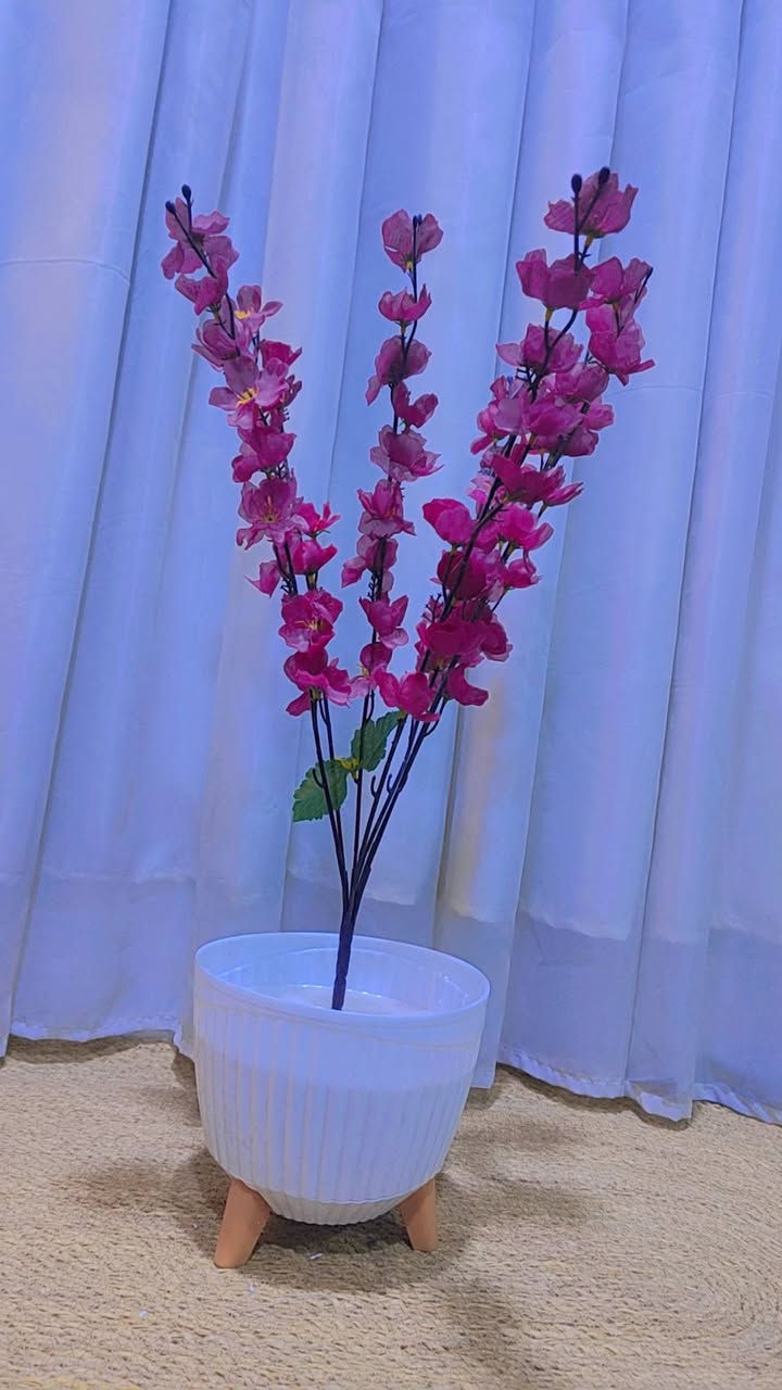 عرض خاص كل ٣ قطع ب ٢٥ والتوصيل مجاني 
للحجز والاستفسار مراسلة البيج 🥰@@


**إذا كنت صاحب هذا الإعلان وتريد حذفه لأي سبب، رجاءا أرسل رسالة إلى الدعم الفني**