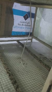 شغل ايدي • مشبج • نجف المطار الجديد