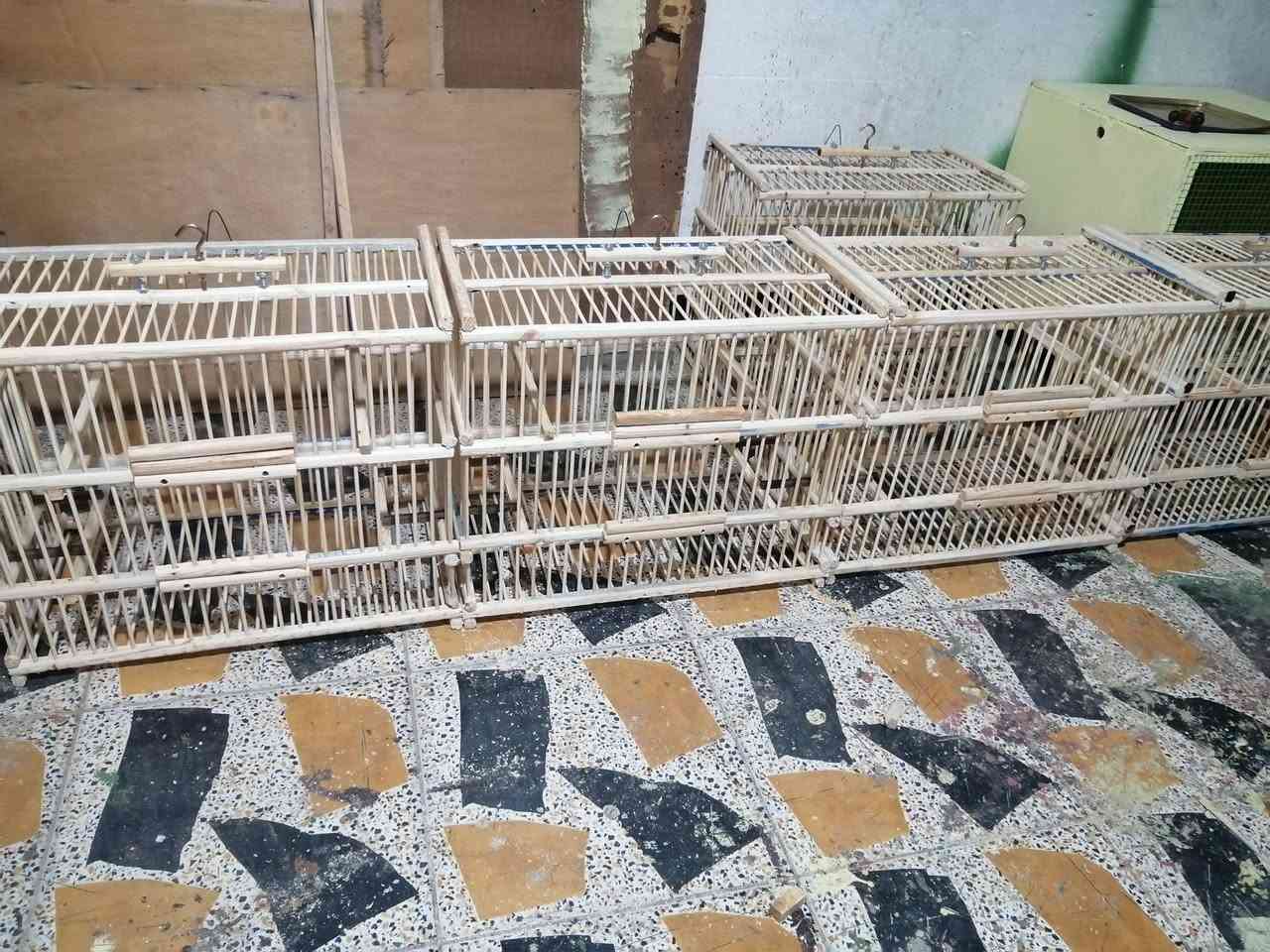 السلام عليكم اقفاص بلابل عدد 5 سعر القفص 20 وبي مجال حك الجية مكاني كركوك حي النداء 
ارتفاع 50.    نزال 35.      واجهه 60.
والي يريد حسب الطلب هم اشتغل 
*********** واتساب اتصال ماكو فقط واتساب ماسنجر هم متواجد
