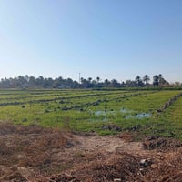 اليوسفيه بئر الحمام • ٣ دوانم • طابو زراعي