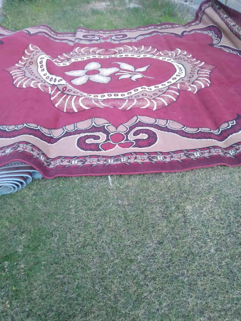 زوالي للبيع حجم3/4السعز ب70


**إذا كنت صاحب هذا الإعلان وتريد حذفه لأي سبب، رجاءا أرسل رسالة إلى الدعم الفني**