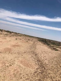 ارض زراعية للبيع • ارض زراعية • ارض للبيع • اراضي زراعية • دونم زراعي ...