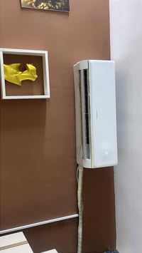 سبلت • كري • أقل من ٦ أشهر