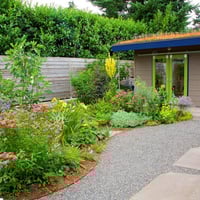 أفكار حديقة • دليل خطوة بخطوة • نباتات محلية