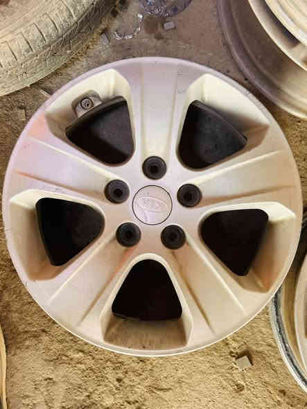 وياله تخم وبتمه للبيع مكان بابل الشوملي الستفسار ***********
