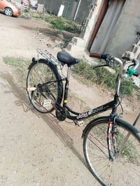 باسكال اسود • حجم 26 • الاسكندريه