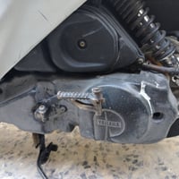 دراجة فراشة • كفالة • النجف