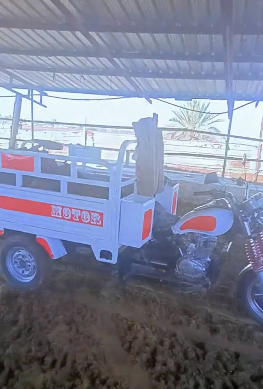 سلام عليكم ستوته جمره موديل عشرين مكفوله كفاله عامه العنوان واسط صويره ***********
