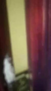 العجمى الهانوفيل • ٨٠م • غرفتين