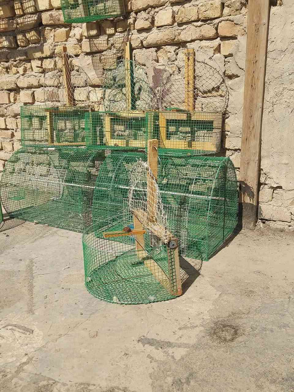 اقفاص بلابل للبيع السعر خاص


**إذا كنت صاحب هذا الإعلان وتريد حذفه لأي سبب، رجاءا أرسل رسالة إلى الدعم الفني**