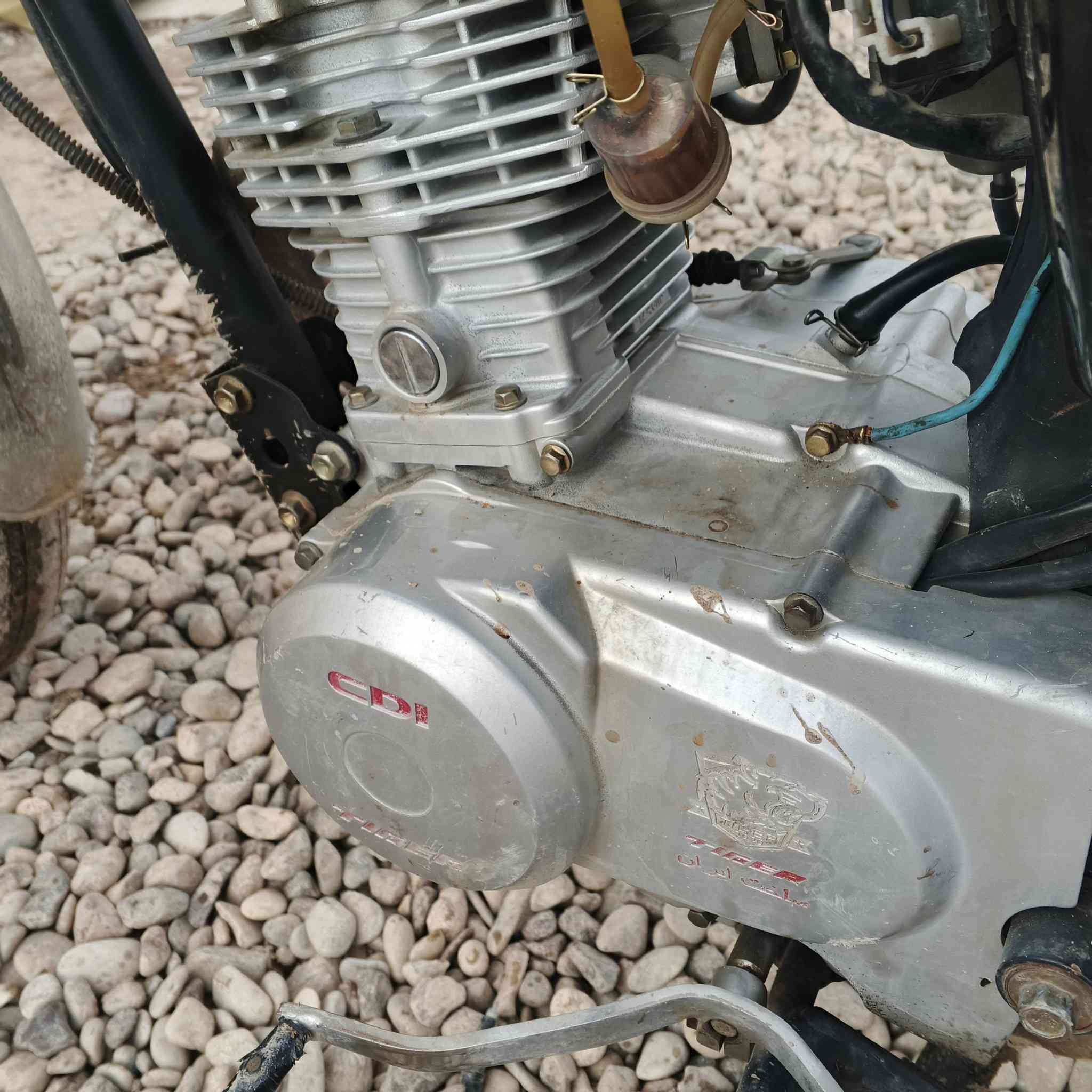 تايجر اربعه قير موديل 2020 السعر 425 محرك ما مفتوح ***********
