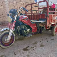 ستوتة كهربائية • فيها مجال