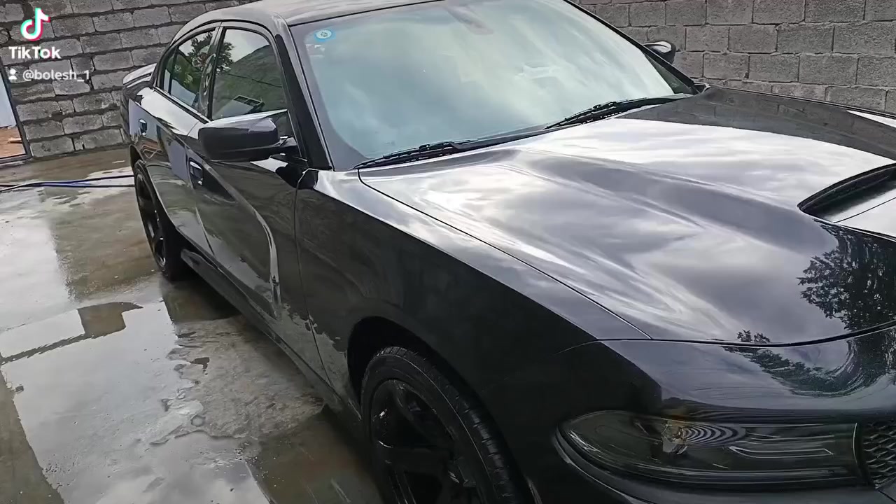 🔥💯بوليش (موقعي) بغداد 

نقدم لك خدمة بوليش لسيارتك باستخدام مواد أمريكية والمانية بأسعار مناسبة 🇺🇲🇩🇪

(ملاحضة:يكون تسليم العمل أجمل من الصور وذا يوجد أي ختلاف نتحمل كافة المسؤليات) 

✦ معالجة الخدوش والهالات 
✦ بوليش للجام عازل 
✦ تكحيل احترافي وجلي مازدات من الخارج
✦ تلميع التايرات + تلميع سوادات + محرك
✦ أربع مراحل بولش 
✦ نانو سيراميك طبقة حماية كاملة للسيارة

📞 تواصل معنا على الأرقام التالية:

***********

***********
