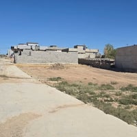 القوسيات خلف كلية الحياة • ١٠٠م • سند نموذج ٢٥