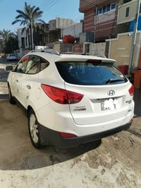 توسان • ٢٠١١ • وارد امريكي