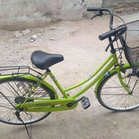 باسكل • مقاس 26