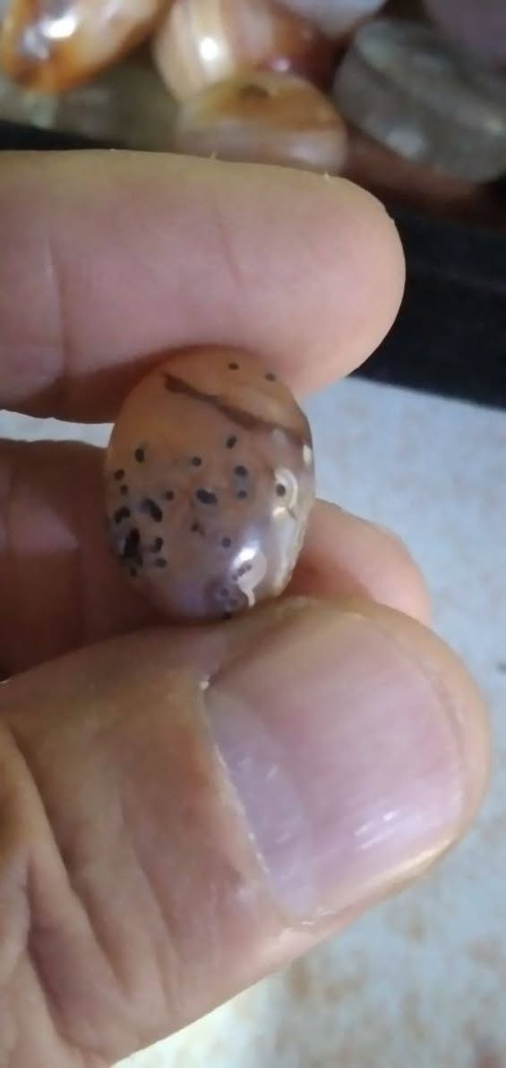 #عقيق_الخطوه_المباركه
عقيق خاماته قديمه معروف بشغله وطاقته وروحانيته وهو من افضل الاحجار من الشجره للخلاط البصرة, العراق


**إذا كنت صاحب هذا الإعلان وتريد حذفه لأي سبب، رجاءا أرسل رسالة إلى الدعم الفني**