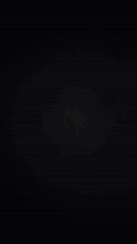 باسكل 26 • جبلي • الديوانية