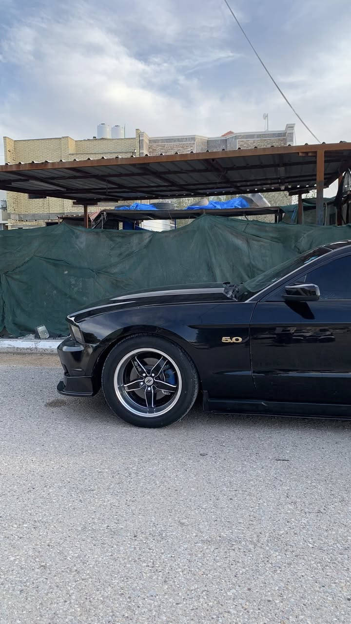 للمراوس او بيع مستعجل عليها


**إذا كنت صاحب هذا الإعلان وتريد حذفه لأي سبب، رجاءا أرسل رسالة إلى الدعم الفني**