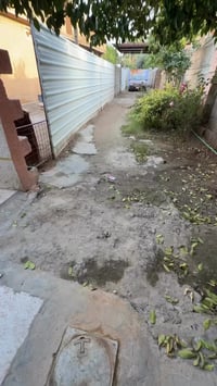 بغداد الراشدية • البحياة • ٣٤٠م