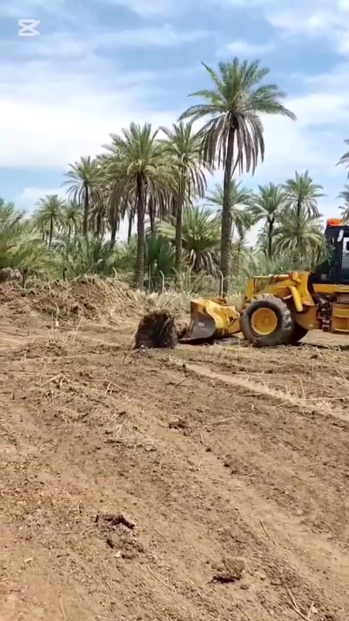 بسم الله الرحمن الرحيم.
     فرصة لا تعوض لمتلاك شيء جميل وهادي ومنظر زراعي في ارض الطهارة والقدسية ارض الحسين 
 فرصة لا تعوض ومسافة كلش قريبة عن مرقد الامام دونم للبيع المساحة 2500 متر يحتوي بيت بناء 250 متر البناء هيكل يحتوي على استقبال كبير و سويد عدد اثنان وحمامات داخلية وهول كبير واستقبال وصالة ومطبخ كبير موسس ماء ومجاري كامل مثبت حدود الدونم بسياج بيارسي ومثبت في الطابو الحدود سند 25 مسجل بسمي يحول بسم المشتري الموقع كربلاء -منطقة الدويهية خلف المعهد الفني خمسة كيلو متر ويبعد عن مركز المدينة 15 كيلو متر يصلح سكن او منتجع سياحي يحتوي على نهر جاري طول فصول السنة للري الزرع الأرض خصبة وصالحة للزراعة رقم المالك

(***********)

