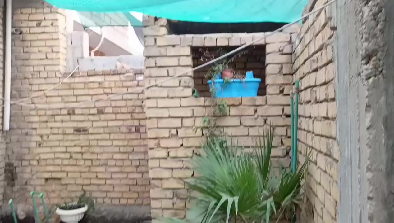 استقبال 6طوال 4عرض
عرفة 4#5
صالة 5#5
مطبخ 3#3
مكشوفات 2 
حمام 2#25
حمال خارجي طارمة كبيرة 
نقص استقبال .درج تطبيك 
تسليح 
كهرباء بوريات 
ماي تاسيس كامل خط مولدة ووطني 
شارع 10امتار 
العقد طابو زراعي 25 مسجل بالبلدية تطويب جديد مشمول بالتطويب اي تفاصيل الاتصال 
***********
الواجهية 7و10سانيم
عنوان المنزل كوفة علوة الفحل شارع الفلل
السعر 55وبي مجال
