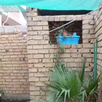 كوفة علوة الفحل • طابو زراعي 25 • شارع 10م