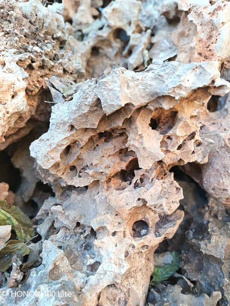 ئەم بەردە کون کونانە بۆ فرۆشتن
بۆ ڕازاندنەوەی باخجەکانتان 
بەردەکان زۆر جوانن 
دوو پیکابی تاکمان هەیە
ناونیشان هەڵەبجەی شەهید 
بۆ نرخ چات بکەن حلبجة, السليمانية


**إذا كنت صاحب هذا الإعلان وتريد حذفه لأي سبب، رجاءا أرسل رسالة إلى الدعم الفني**