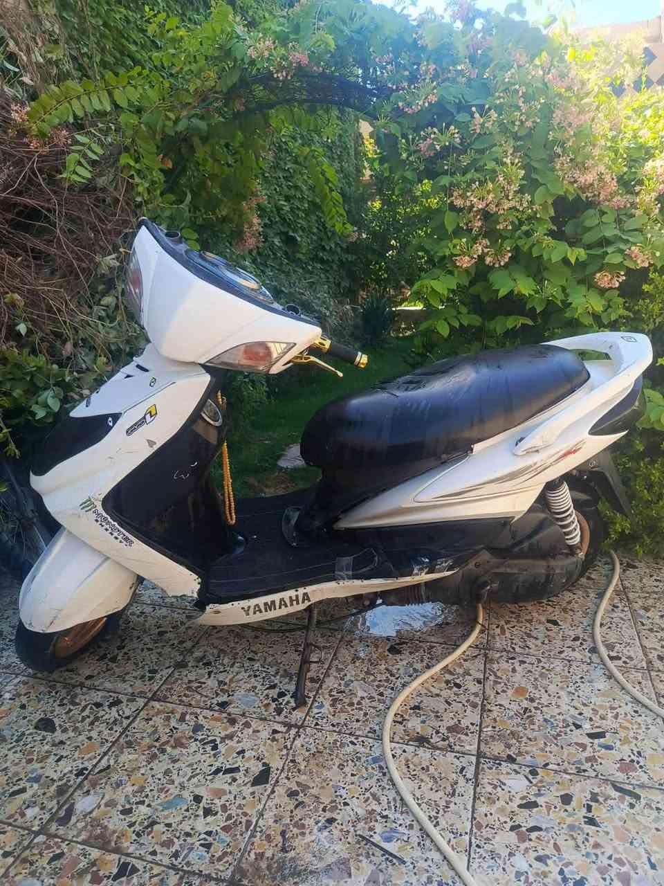 سكنس فحل مكان بغداد الجديدة سعر ٤٠٠ موبايل ‭***********‬
