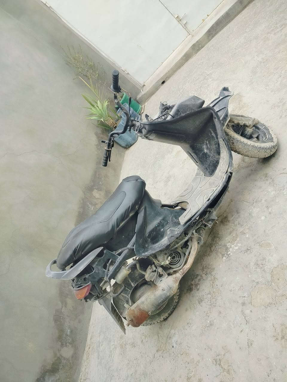 السلام عليكم حبايب فراشة فحل للبيع سعر 175 عنوان قرية غدير تواصل خاص مفتوح وهذه رقمي ***********
