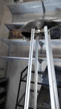 السلام عليكم موقعي بغداد الحسينيه رقمي ***********
