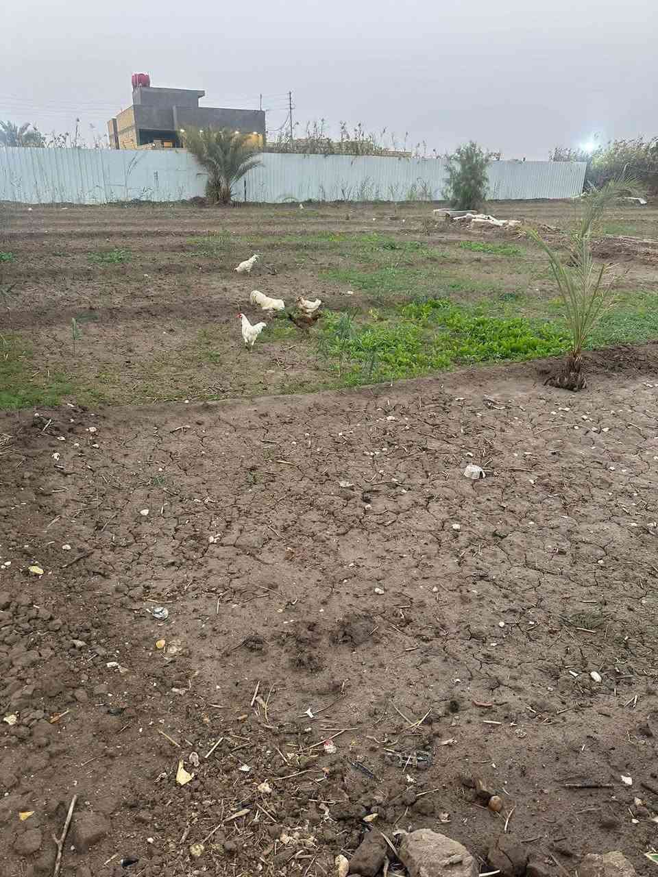 مزرعه للبيع موقع مميز
زراعي 

مساحه دونم مربع 

كافه الخدمات 

ماء اساله

ماء سقي 

مجاري

كهرباء 

مولد

تحتوي ع كرفان متكامل 

شارع 10 متر سبيس 

تبعد عن الشارع التبليط 500 متر 

العنوان اسديناويه طريق السياحي 

نزله ديوان طي 

سعر 160 وقابل للتفاوض 
***********
