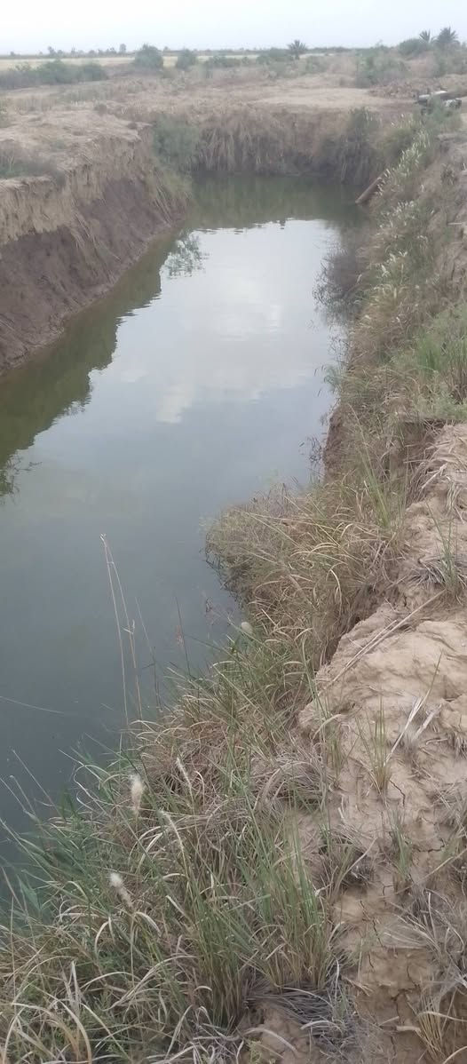 السلام عليكم قطعت أرض زراعيه للبيع  مساحته 20 دونم  صويره على. طريق المطار تبعد عن الشارع كيلو الماء متوفر بيه شتاء وصيف الاستفسار %***********
