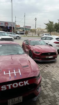 موستنك • ٢٠١٦ • كركوك