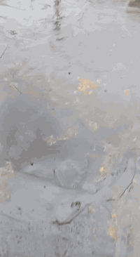 عمل اليوم والحمدلله مستعدون التكير الصطوح وتزفيت الأساس وعمل الماستك في جميع محافظة  الانبار رقم الهاتف ***********
