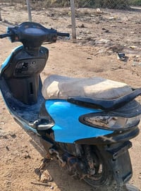 دولفين • مكاني • قضاء الشاميه