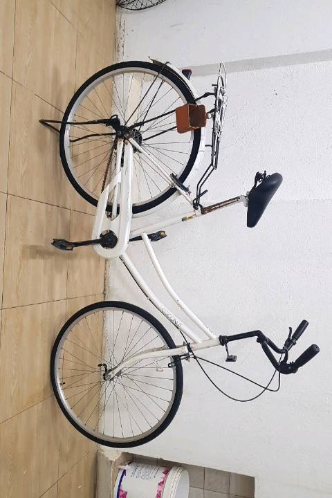 الفلوجه مختار شارع المقبره جامع بر والدين التفاصيل البايسكل ياباني اصلي مابي نقص 