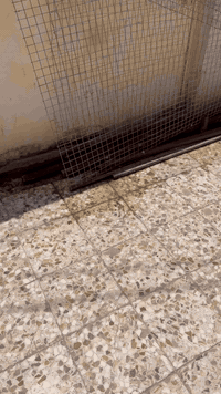 واجهيه قفص للبيع طول ٤ متر ارتفاع١٥٠ وياه ضلع سعره ١٠٠ قفل حديد درجى اولى بي ار سي ارقى نوع بسوك نجف ***********
